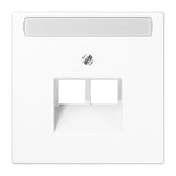 JUNG Zentralplatte UAE/IAE 2f aws LS 969-2 NAUA WW Schraubbef