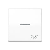 JUNG Kontrollwippe Schalter aws glz AS 591 KO5L WW Licht