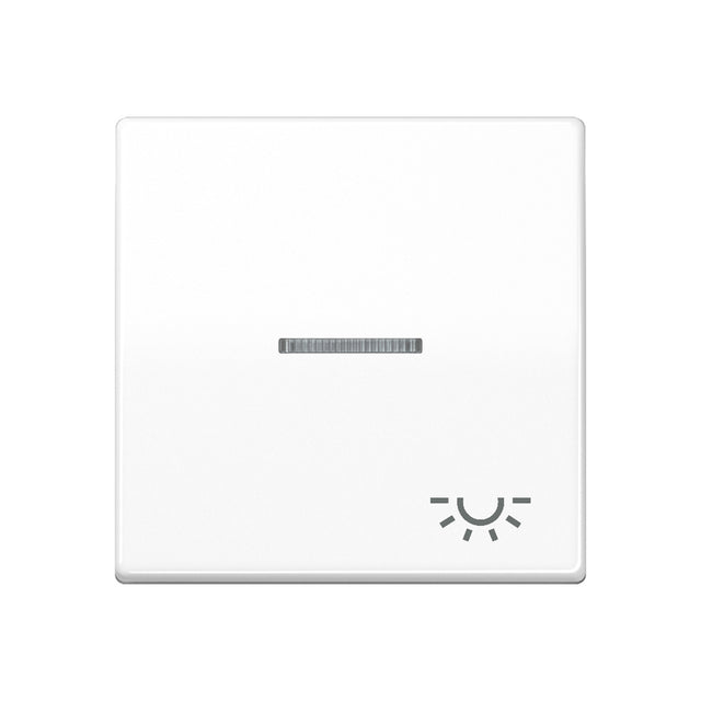 JUNG Kontrollwippe Schalter aws glz AS 591 KO5L WW Licht