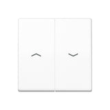 JUNG Wippe_2t Jalousie aws glz AS 591-5 PBF WW Pfeile