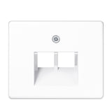 JUNG Zentralplatte UAE/IAE 2f aws SL 569-2 UA WW Schraubbef