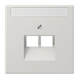 JUNG Zentralplatte UAE/IAE 2f lgr LS 969-2 NAUA LG Schraubbef