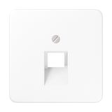 JUNG Zentralplatte UAE/IAE 1f aws CD 569-1 UA WW Schraubbef