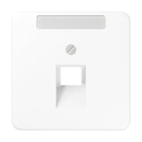 JUNG Zentralplatte UAE/IAE 1f aws CD 569-1 NAUA WW Schraubbef