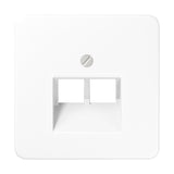 JUNG Zentralplatte UAE/IAE 2f aws CD 569-2 UA WW Schraubbef