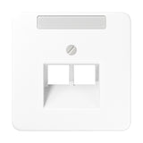 JUNG Zentralplatte UAE/IAE 2f aws CD 569-2 NAUA WW Schraubbef