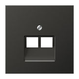 JUNG Zentralplatte UAE/IAE 2f anth LS AL 2969-2 UA AN Schraubbef