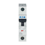 Leitungsschutzschalter AC                         FAZ C 2A 1p 230V 1TE