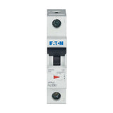 Leitungsschutzschalter AC                         FAZ C 4A 1p 230V 1TE