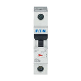 Leitungsschutzschalter AC                         FAZ C 6A 1p 230V 1TE