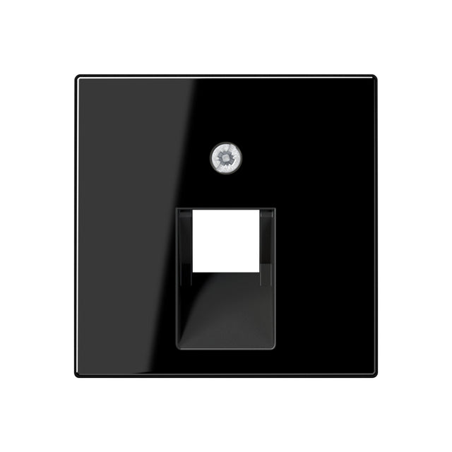 JUNG Zentralplatte UAE/IAE 1f sw A 569-1 PLU SW Schraubbef