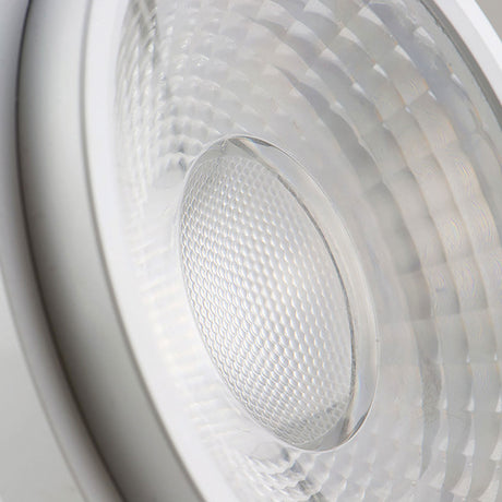 AR111 Fruit Light 30W 35°-50° variabel inkl. externem VG - Beleuchtung