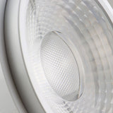 AR111 Meat Light 30W 35°-50° variabel inkl. externem VG - Beleuchtung