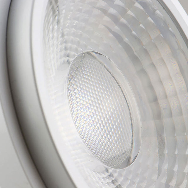 AR111 Meat Light 30W 35°-50° variabel inkl. externem VG - Beleuchtung