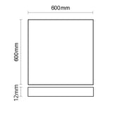 LED Panel frameless 600 diffus 50W warmweiß dimmbar - Beleuchtung