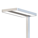 LED Office Pro Stehleuchte Up&Down 40W + 40W UGR<19 silber neutralweiß Dimm-Drehregler - Beleuchtung