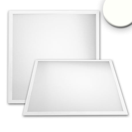 LED Panel Professional Line 600 UGR<19 4H/8H, 36W, Rahmen weiß RAL 9016, neutralweiß