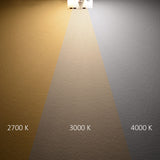 LED Umrüstplatine ColorSwitch 2600|3100|4000K 250mm 25W mit Magnet - Beleuchtung