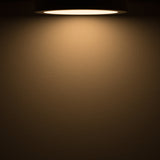 LED Deckenleuchte schwarz 24W rund DN300 warmweiß dimmbar - Beleuchtung