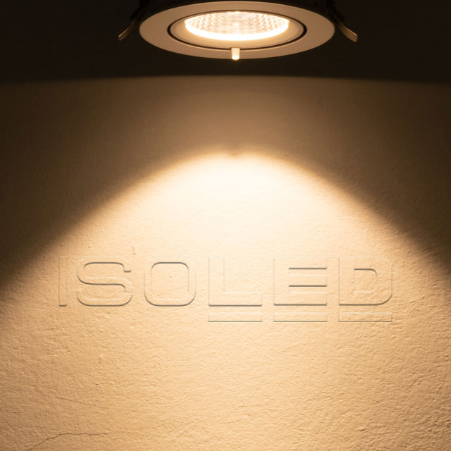 LED Shop-Downlight Sphere 35W ausschwenkbar weiß warmweiß - Beleuchtung