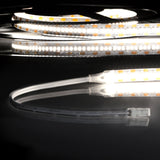 LED CRI940 MiniAMP Flexband, 12V DC, 6W, IP20, 4000K, 250cm, beids. 30cm Kabel + maleAMP, 300 LED/m