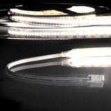 LED CRI940 MiniAMP Flexband, 12V DC, 12W, IP20, 4000K, 250cm, beids. 30cm Kabel + maleAMP, 300 LED/m
