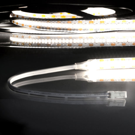 LED CRI940 MiniAMP Flexband, 12V DC, 12W, IP20, 4000K, 250cm, beids. 30cm Kabel + maleAMP, 300 LED/m
