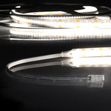 LED CRI940 MiniAMP Flexband, 24V DC, 6W, IP20, 4000K, 250cm, beids. 30cm Kabel + maleAMP, 300 LED/m