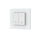 Sys-Pro Single Color 2 Zonen Aufputz-Tast-Fernbedienung mit Batterie
