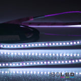 LED CRI Food Flexband Fish, 24V DC, 14,4W, IP20, 5m Rolle, 140 LED/m