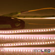 Trennstelle: 50mm mit je 7 SMD | Pitch (Lichtpunkt Mitte-Mitte): 7,14mm | 1 Einheit (Rolle) = 5m | max. Flexbandlänge pro Einspeisung: 5m | Längentoleranz + Wärmeausdehnung: 1% | erforderliche Kühlmasse min. 75 gr/m | inkl. 3M 300LSE Klebeband | Untergrund vor dem Ankleben reinigen und entfetten! Nicht wieder ablösen! | Silikon Verguss | BESONDERHEIT: Anschlusskabel einseitig