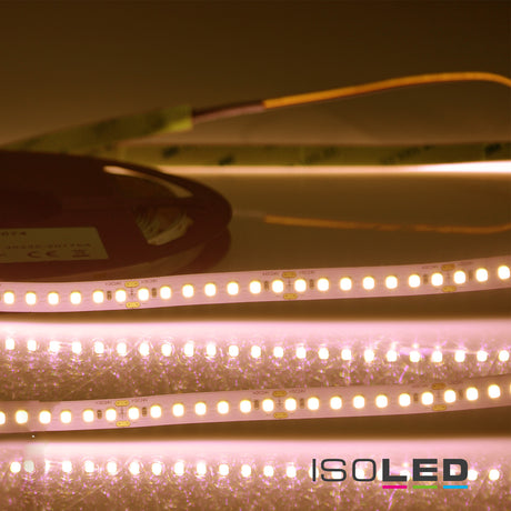 Trennstelle: 50mm mit je 7 SMD | Pitch (Lichtpunkt Mitte-Mitte): 7,14mm | 1 Einheit (Rolle) = 5m | max. Flexbandlänge pro Einspeisung: 5m | Längentoleranz + Wärmeausdehnung: 1% | erforderliche Kühlmasse min. 75 gr/m | inkl. 3M 300LSE Klebeband | Untergrund vor dem Ankleben reinigen und entfetten! Nicht wieder ablösen! | Silikon Verguss | BESONDERHEIT: Anschlusskabel einseitig