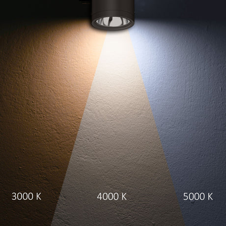 LED Deckenaufbaustrahler IP65 schwarz 10W ColorSwitch 3000|4000|5000K dimmbar - Beleuchtung