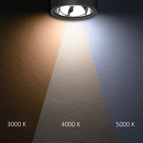 LED Deckenaufbaustrahler IP65 schwarz 25W ColorSwitch 3000|4000|5000K dimmbar - Beleuchtung