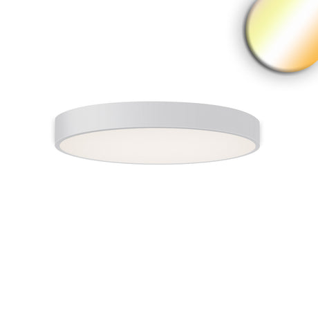 LED Deckenleuchte UGR<19 2H weiß 40W|50W IP42 DN600 ColorSwitch 2700|3000|4000K dimmbar - Beleuchtung