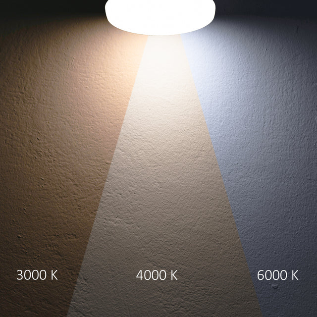 LED Deckenleuchte 13|18W weiß rund DN280 IP64 120lm/W ColorSwitch 3000|4000|6000K - Beleuchtung