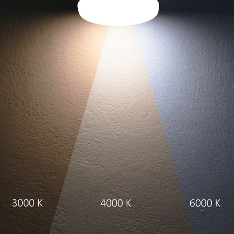 LED Deckenleuchte 13|18W mit HF-Sensor weiß rund DN280 IP64 120lm/W ColorSwitch 3000|4000|6000K - Beleuchtung
