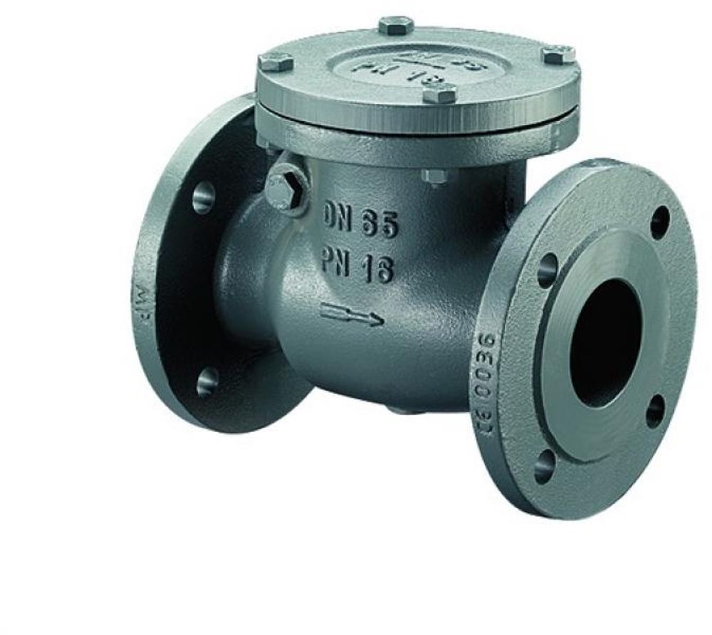 Bosch Installationszubehör RK16-50 Rückschlagklappe PN 16 / DN 50, 7736602665