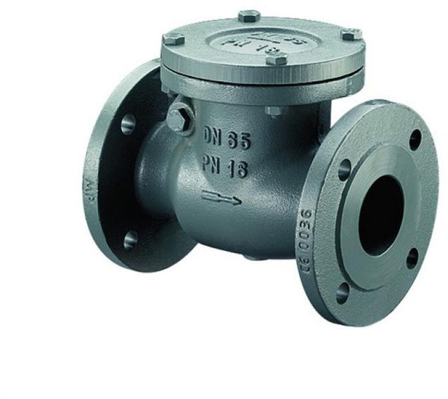 Bosch Installationszubehör RK16-50 Rückschlagklappe PN 16 / DN 50, 7736602665