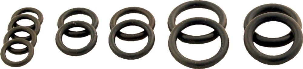 Wolf O-Ring-Set Hydraulikgruppe für CGG, 8612385