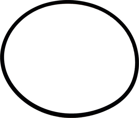 Wolf O-Ring 132 x 4 Viton für COB, 8905738
