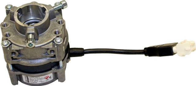 Wolf Motor für Ölpumpe für TOB-18, 248497599