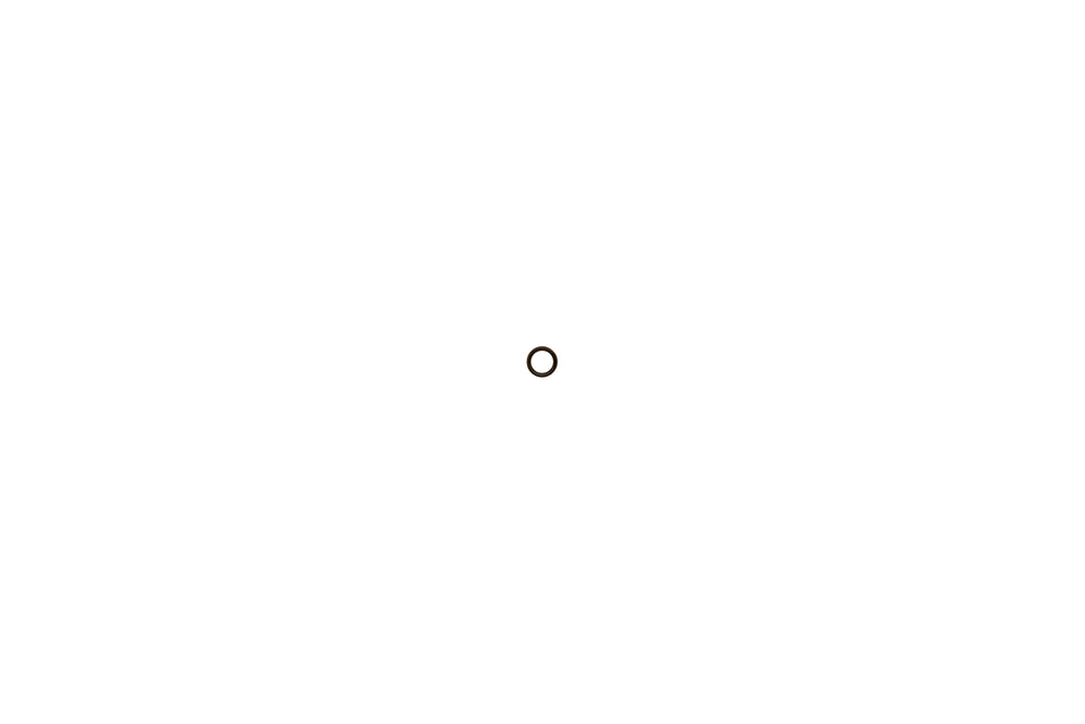 Brötje O-Ring für Gasventil 1/2" , 955744