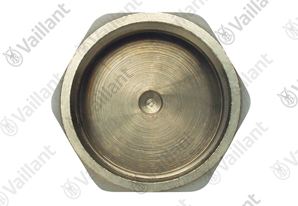 VAILLANT Kappe 0020170501 Antilegionellen-Set, u.w. Vaillant-Nr. , 950017