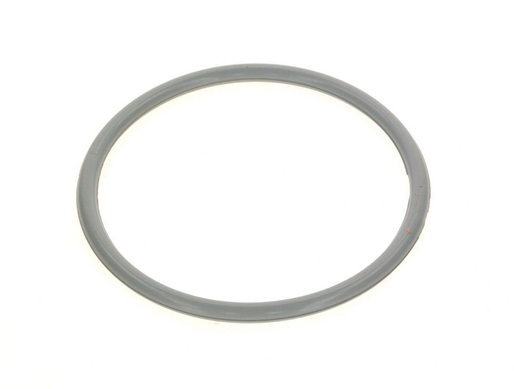 BOSCH O-Ring 160x10 everp, 7747007986