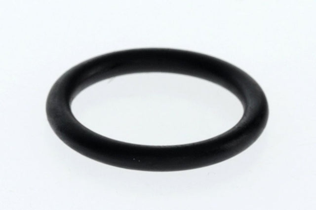 BOSCH O-Ring (10x), 87002051360