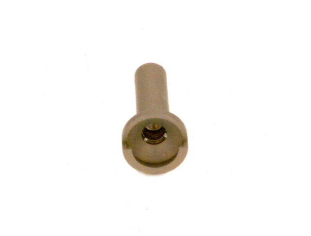 BOSCH Zünddüse (0,24) (LPG), 87082002690