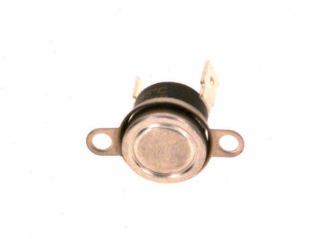 BOSCH Abgasüberwachung, 87199281400
