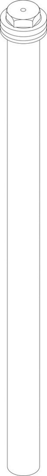 BOSCH Anode isoliert 1 505 lg everp, 87199282280