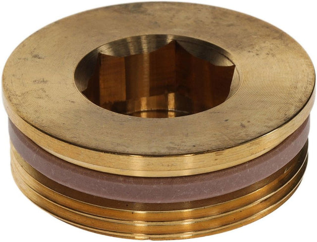 BOSCH Stopfen G1 1/2 SW22 mit PTFE-Ring EVERP, 8735101094
